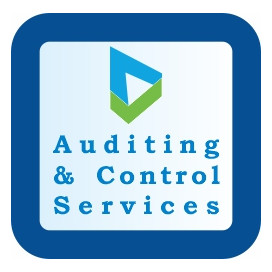 Mashoura Audits and Controls